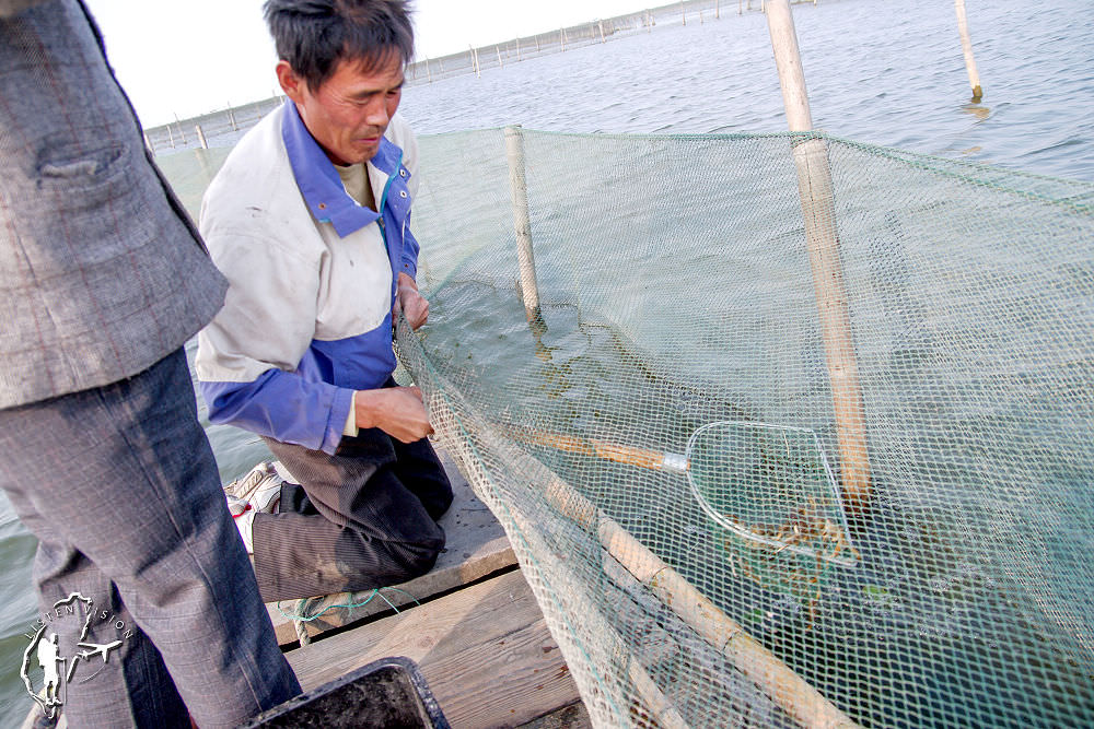 中國 蘇州 | 陽澄湖抓〝蟹〞趣