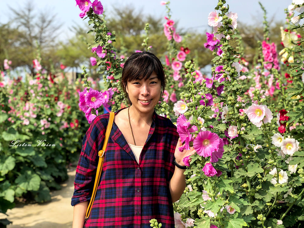 [ 季節限定 ] 2019唸戀學甲蜀葵花文化節熱鬧登場 / 台南景點