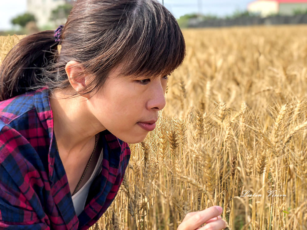 [ 季節限定 ] 2019唸戀學甲蜀葵花文化節熱鬧登場 / 台南景點