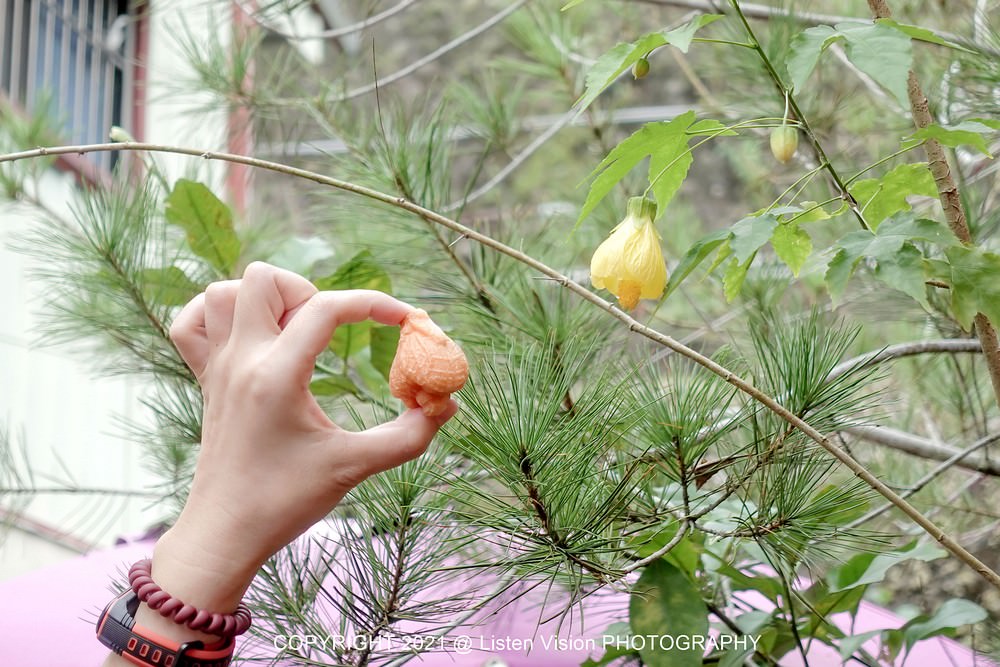 黑咖賞 OKASAN / 太平燈籠餅、媽媽味茶葉蛋、梅良心冬瓜茶 / 食尚玩家推薦美食 / 嘉義太平老街美食